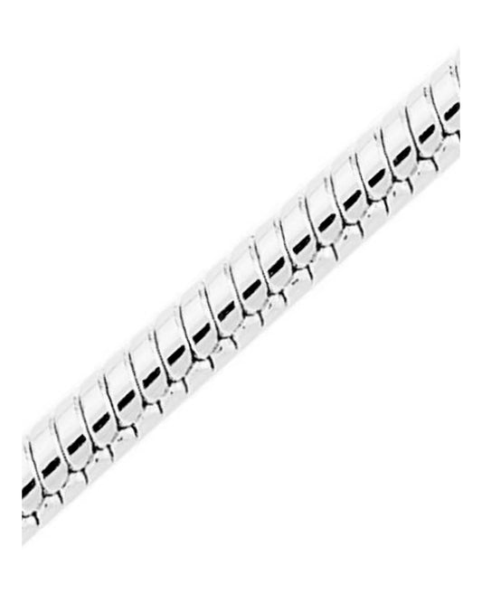 Silver snake chain